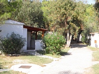 CIMG2155.JPG