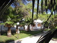 CIMG2157.JPG