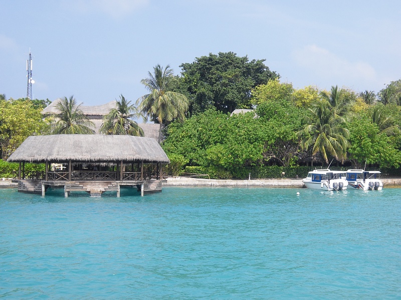 CIMG0314.JPG