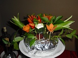CIMG0375.JPG