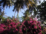 CIMG0379.JPG