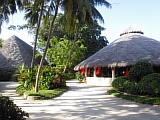 CIMG0384.JPG