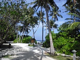 CIMG0393.JPG
