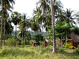 thailand08_015.jpg